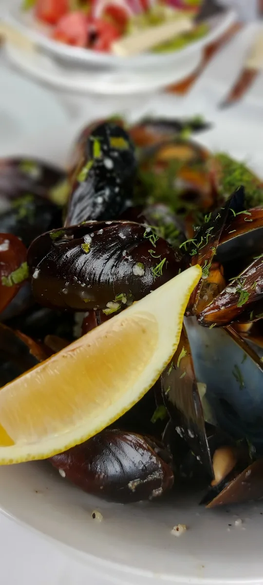 Bistro Old Sozopol