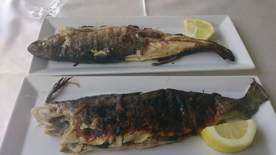 Byala Reka