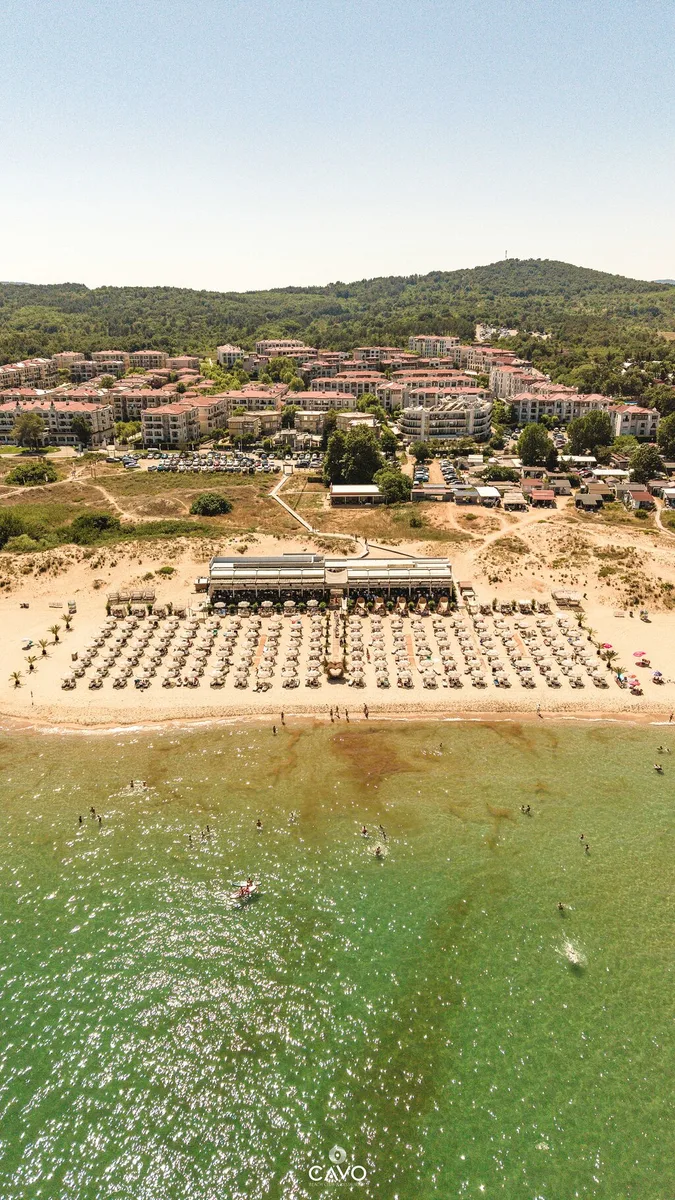 Cavo