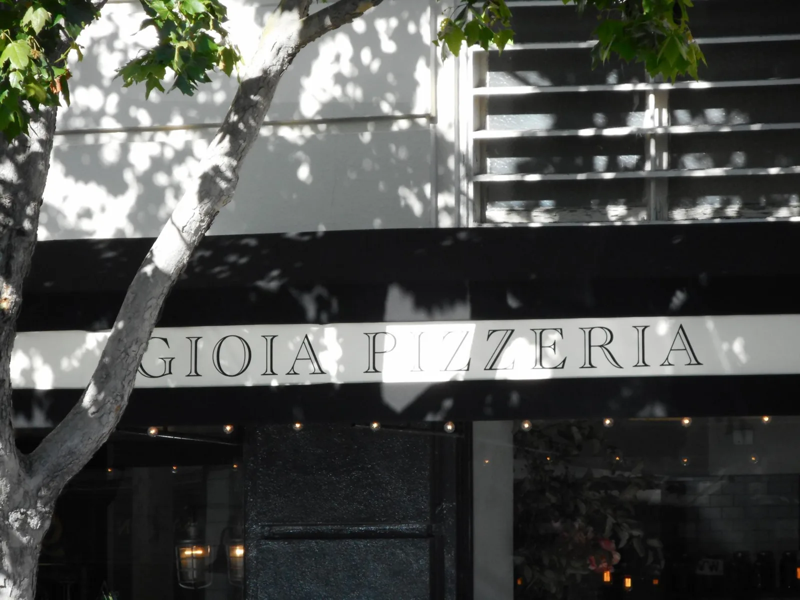 Gioia pizza
