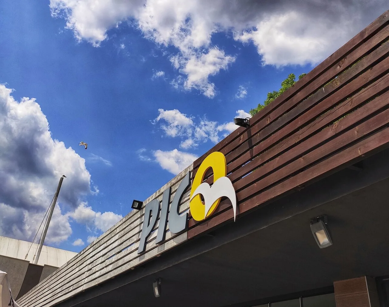 Pico Food and Bar