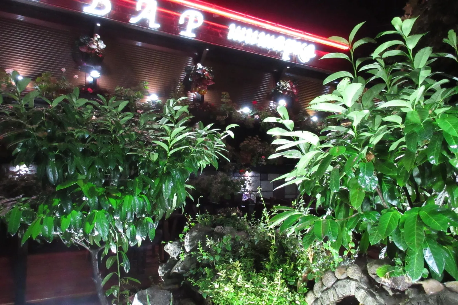Restaurant Bor
