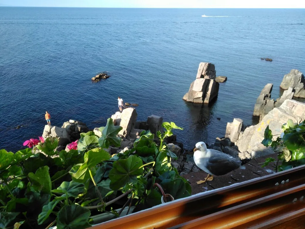 Restaurant Neptune