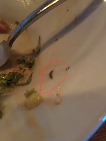 Restaurant Rodina