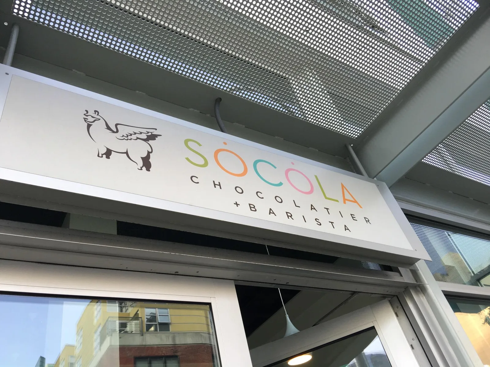 Socola