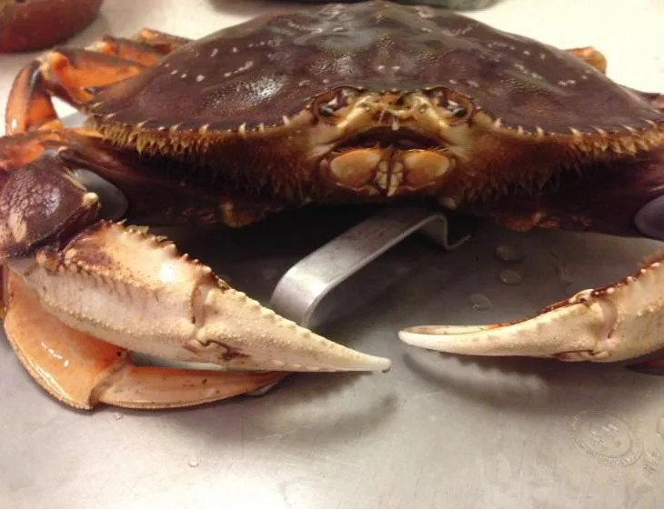 The Fishmonger
